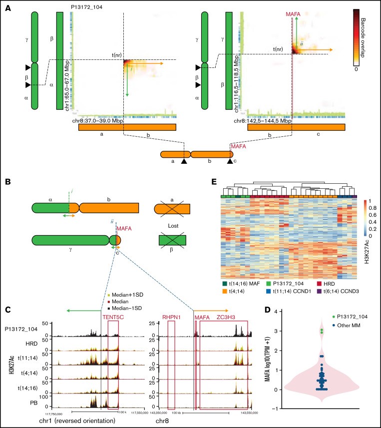 【佳学基因检测】多发性骨髓瘤的深度基因检测及大数据分析 【佳学基因检测】多发性骨髓瘤的深度基因检测及大数据分析